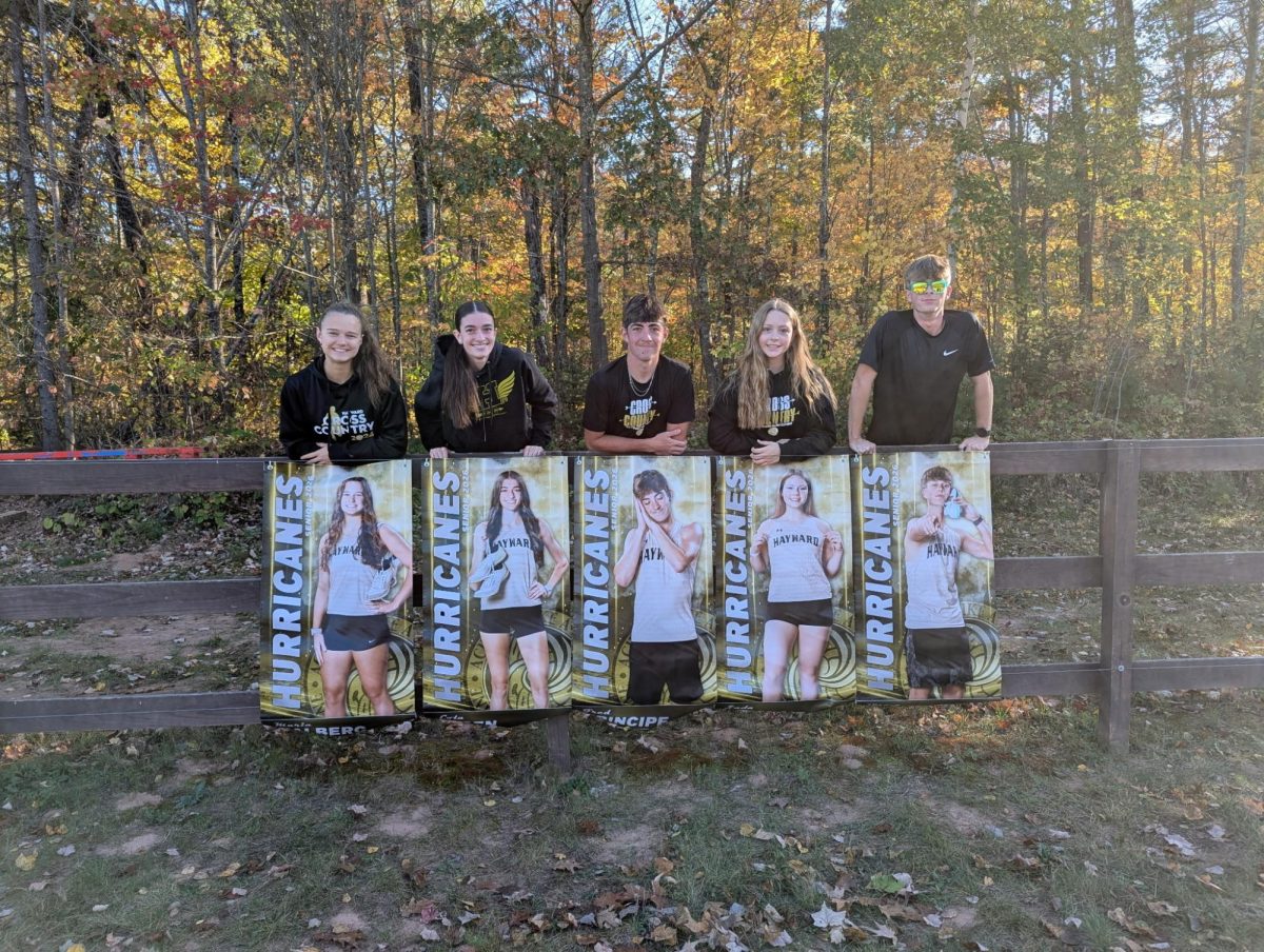Senior team members