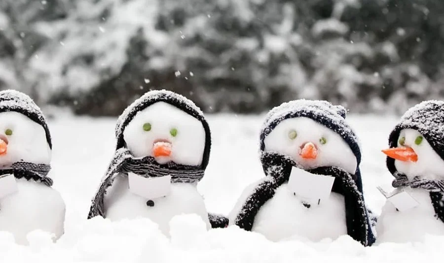 Winter Fun